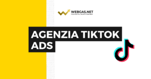 Agenzia TikTok Ads